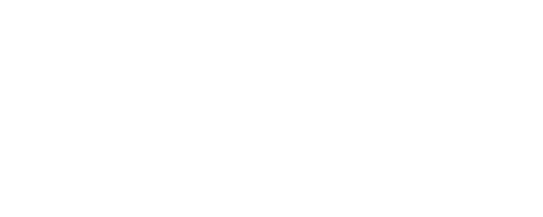 ARIS Logo